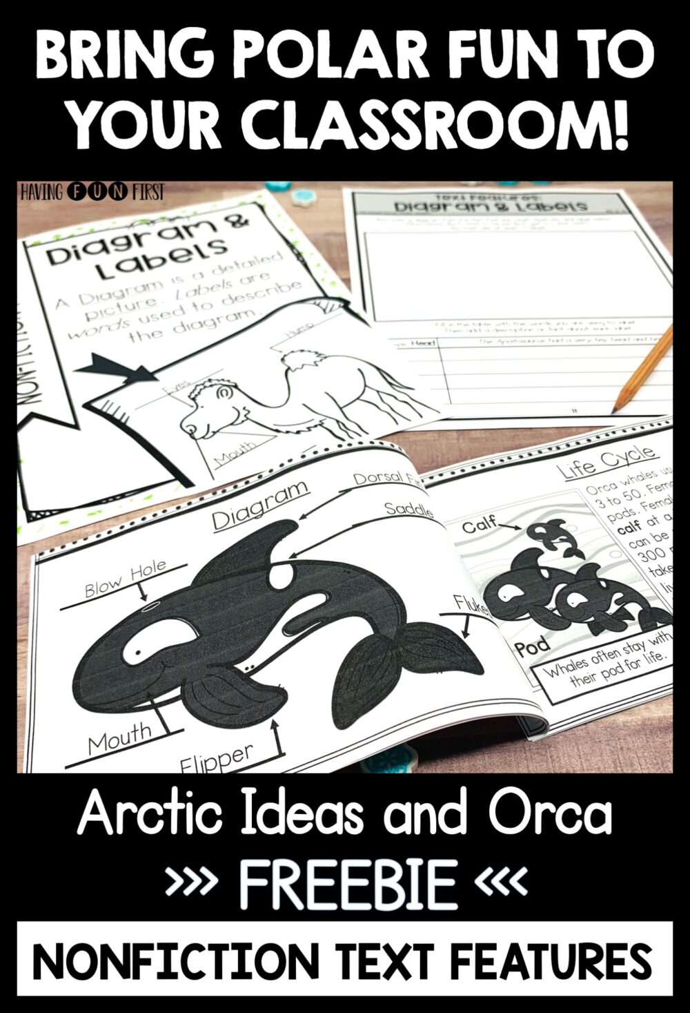 free nonfiction text features worksheet