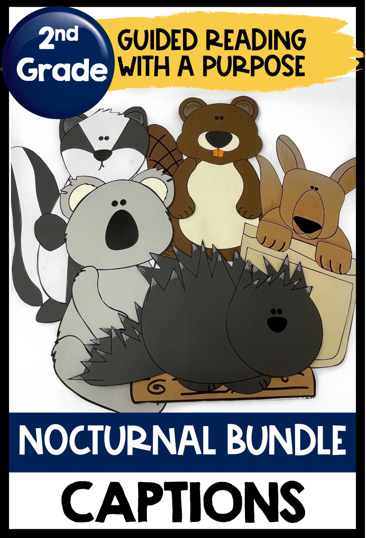 nocturnal animal activities bundle