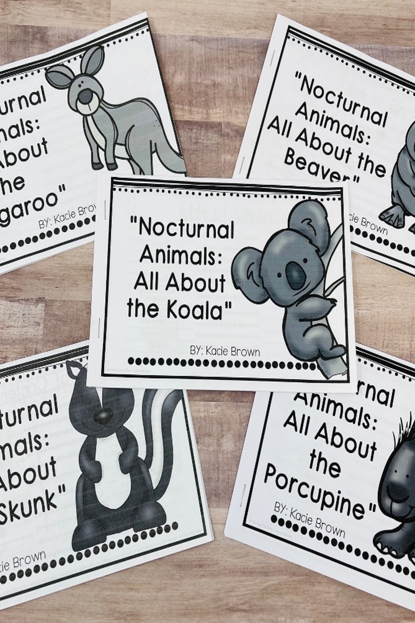 nocturnal animals nonfiction texts