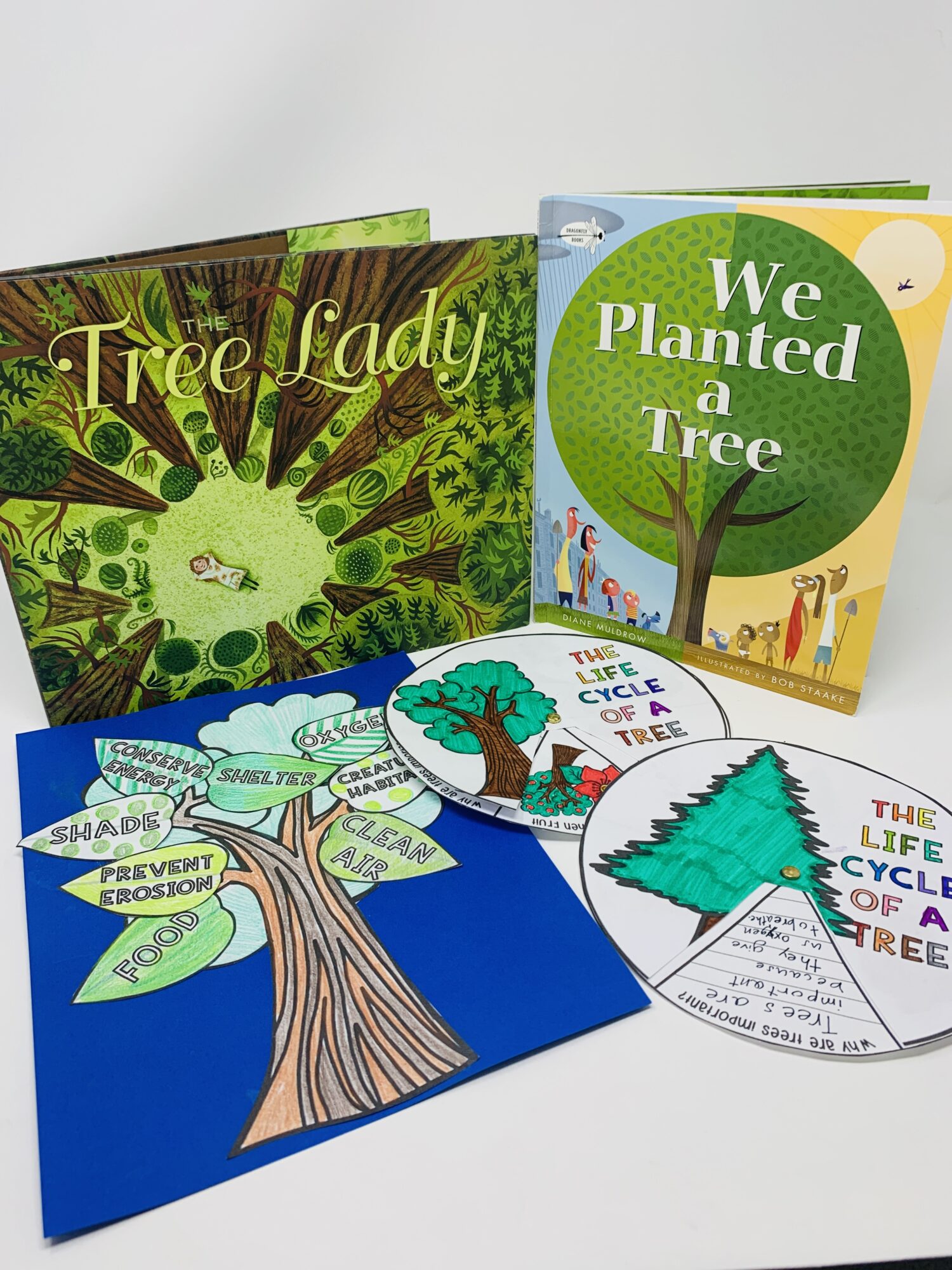 The Tree Lady and We Planted a Tree printable or virtual earth day activities for literacy