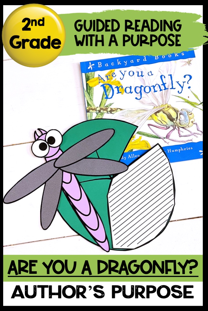 Are You A Dragonfly? Insects Reading Comprehension Activity