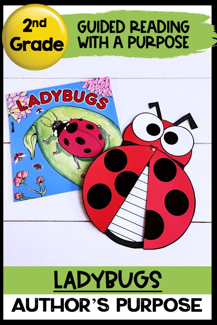 Ladybugs insects reading comprehension activity