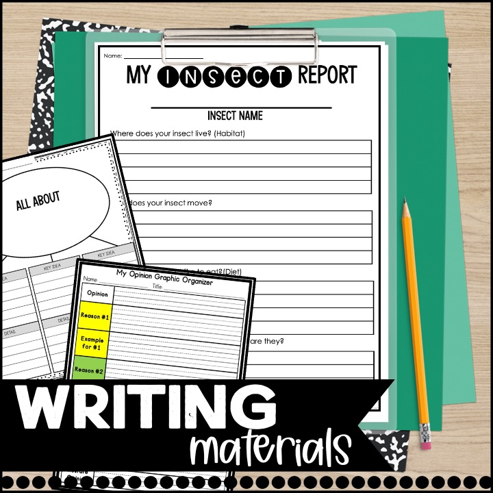 writing activities insects reading comprehension