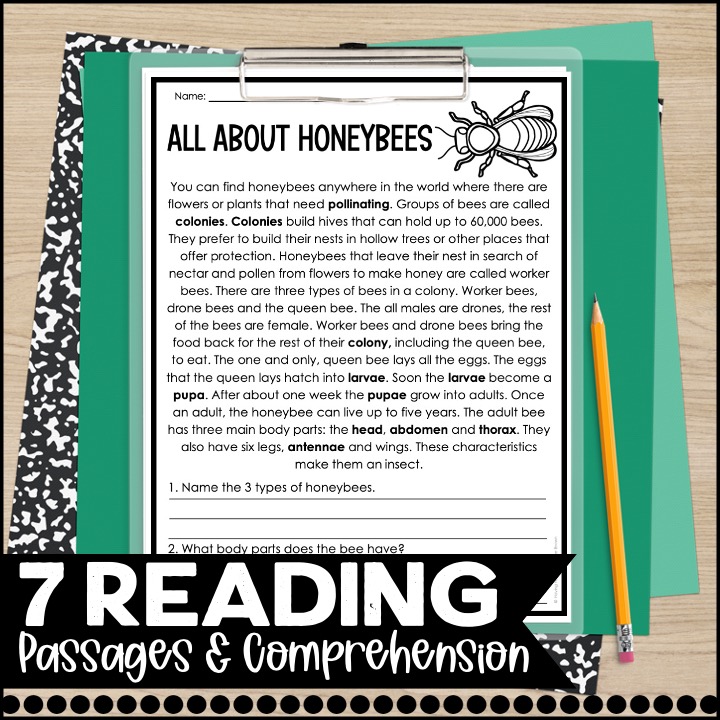 7 nonfiction insects reading comprehension passages