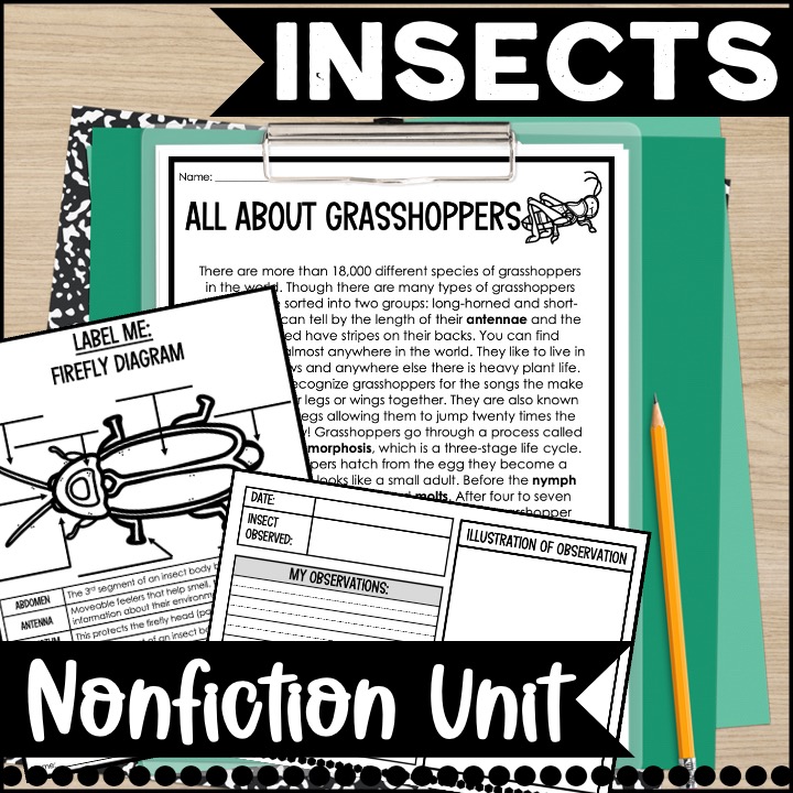 nonfiction insects reading comprehension