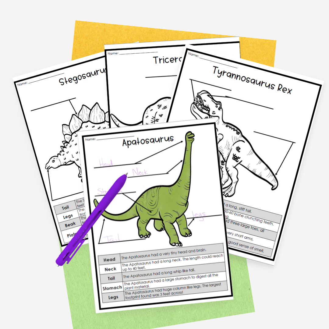 dinosaur diagrams