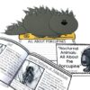 Porcupine Nonfiction Reading Passage & Comprehension Unit - Image 2