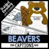 All About the Beaver - Nonfiction Text Features Unit