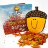 The Golden Acorn Activities for Reading Comprehension - Image 2