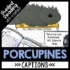 All About the Porcupine unit