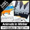 animals in winter reading comprehension
