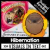 Hibernation Reading Comprehension Activities