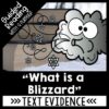 What is a Blizzard? Activities for Reading Comprehension