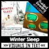 Winter Sleep A Hibernation Story Activities for Reading Comprehension