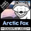 arctic fox reading comprehension unit
