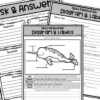 Narwhal Reading Comprehension Unit - Image 3