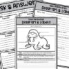 Walrus Reading Comprehension Unit - Image 4