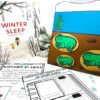 winter sleep a hibernation story activities and craft