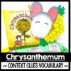 Chrysanthemum activities