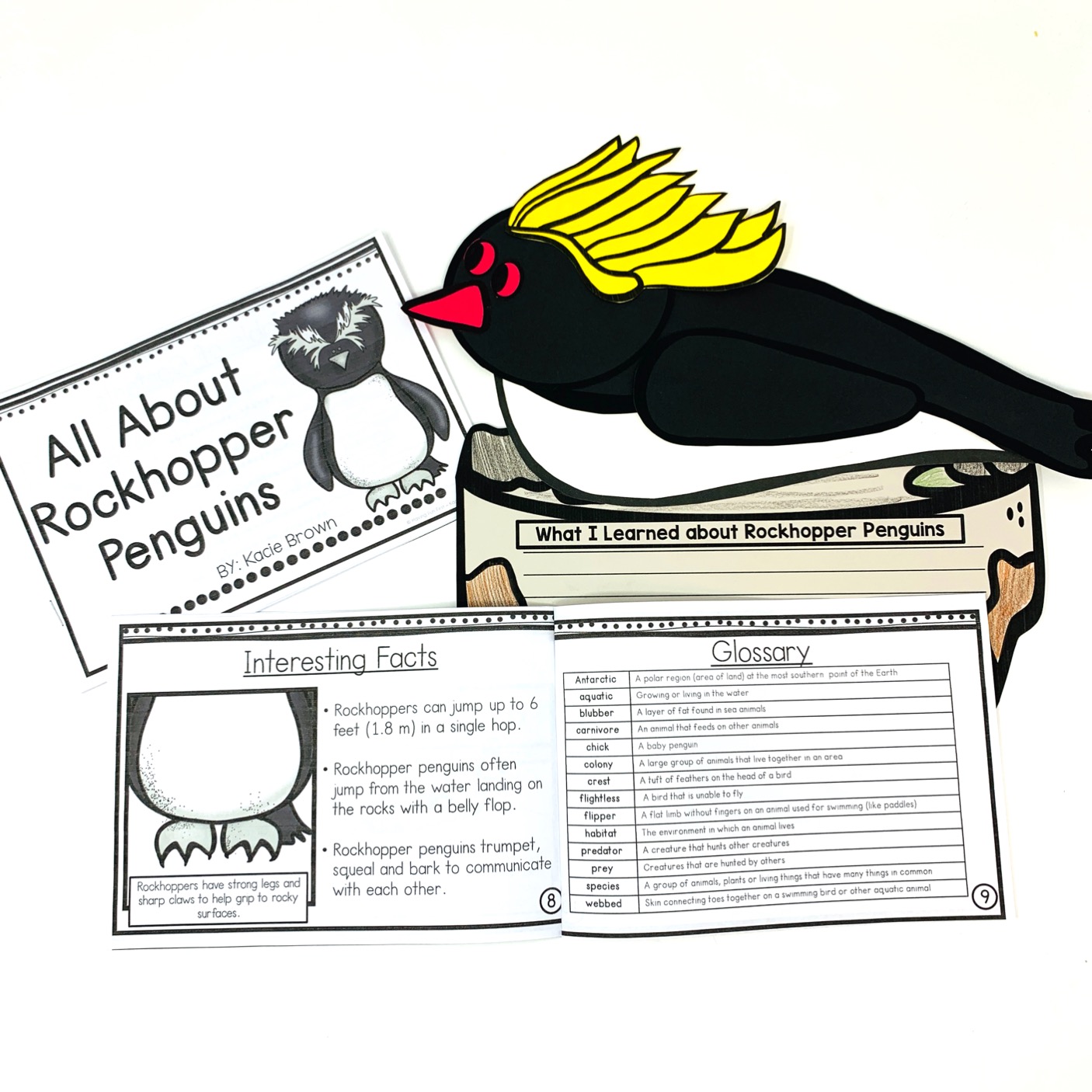 Rockhopper penguin reading passage and craft