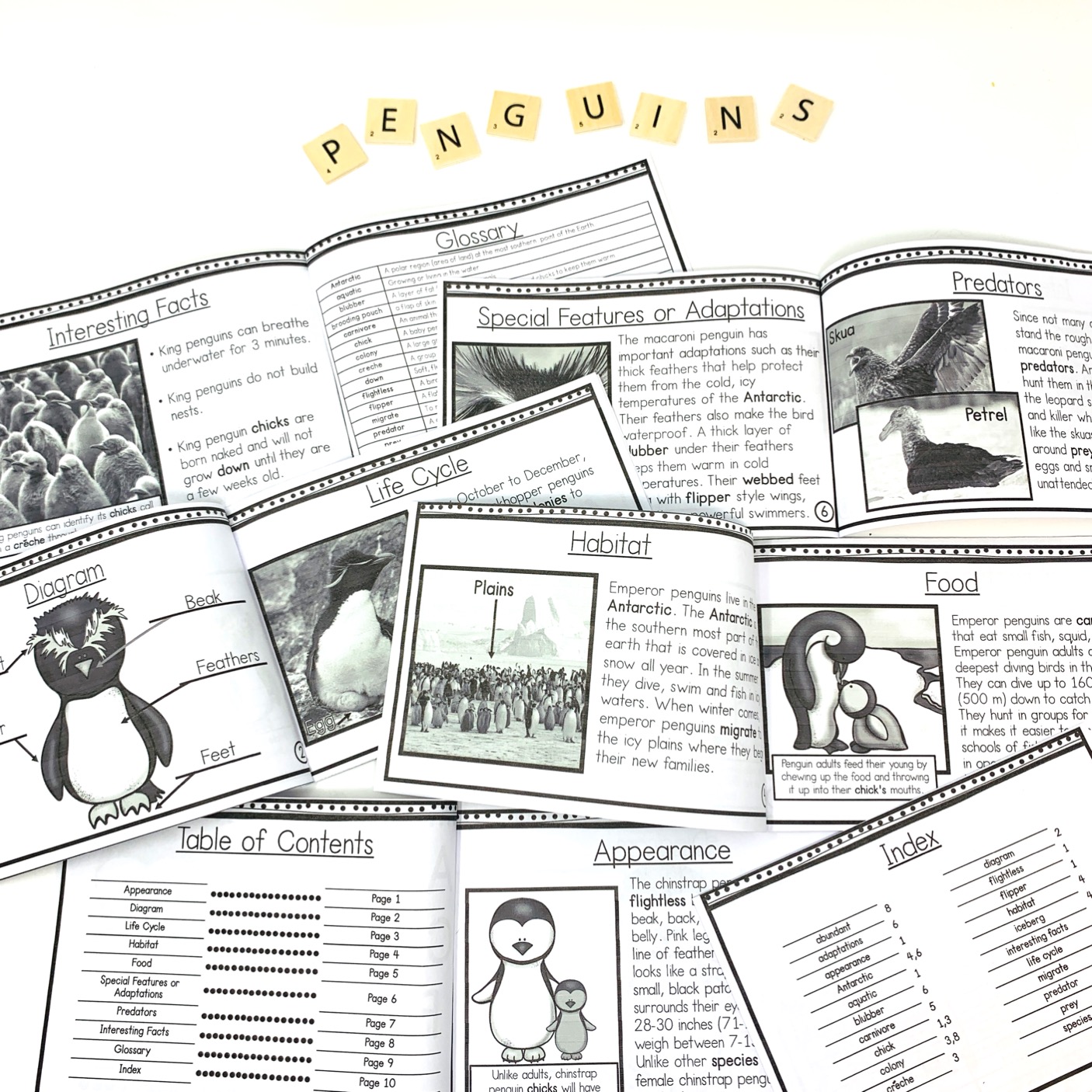 penguin reading passages with text features glossary and bold print