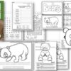 all about bears worksheets