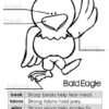 Nonfiction Bald Eagles Unit for Kids - Image 3