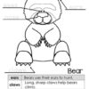 Nonfiction Bears Unit for Kids - Image 4
