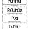 Nonfiction Whales Unit for Kids - Image 4