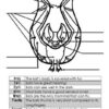 Nonfiction Bat Unit Study - Image 2
