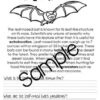 bat reading passage with comprehension questions