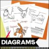 Nonfiction Desert Animals Unit - Image 4