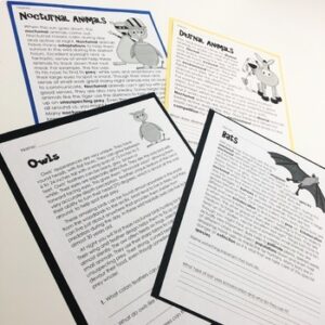 Nocturnal and Diurnal Animals Unit - Reading & Research