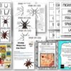 Nonfiction Spider Unit - Image 4