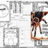 spider report templates